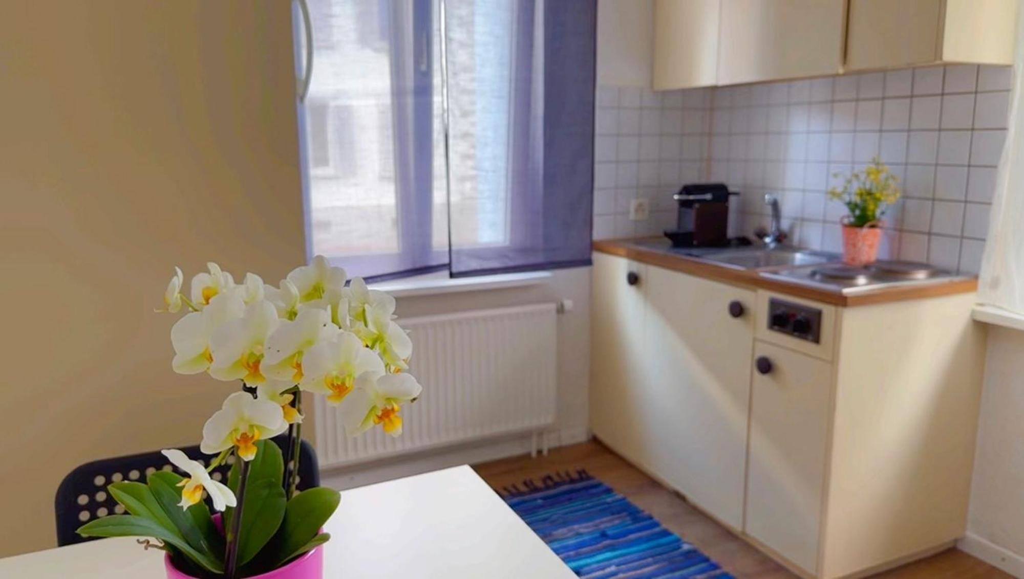 Grandhouse Center Of Switzerland Apartment ออลเทน ภายนอก รูปภาพ